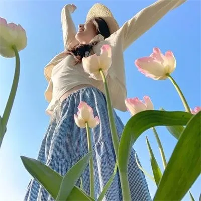 国产精品少年锋芒大剧《锋芒少年》全集 - 少年展露锋芒